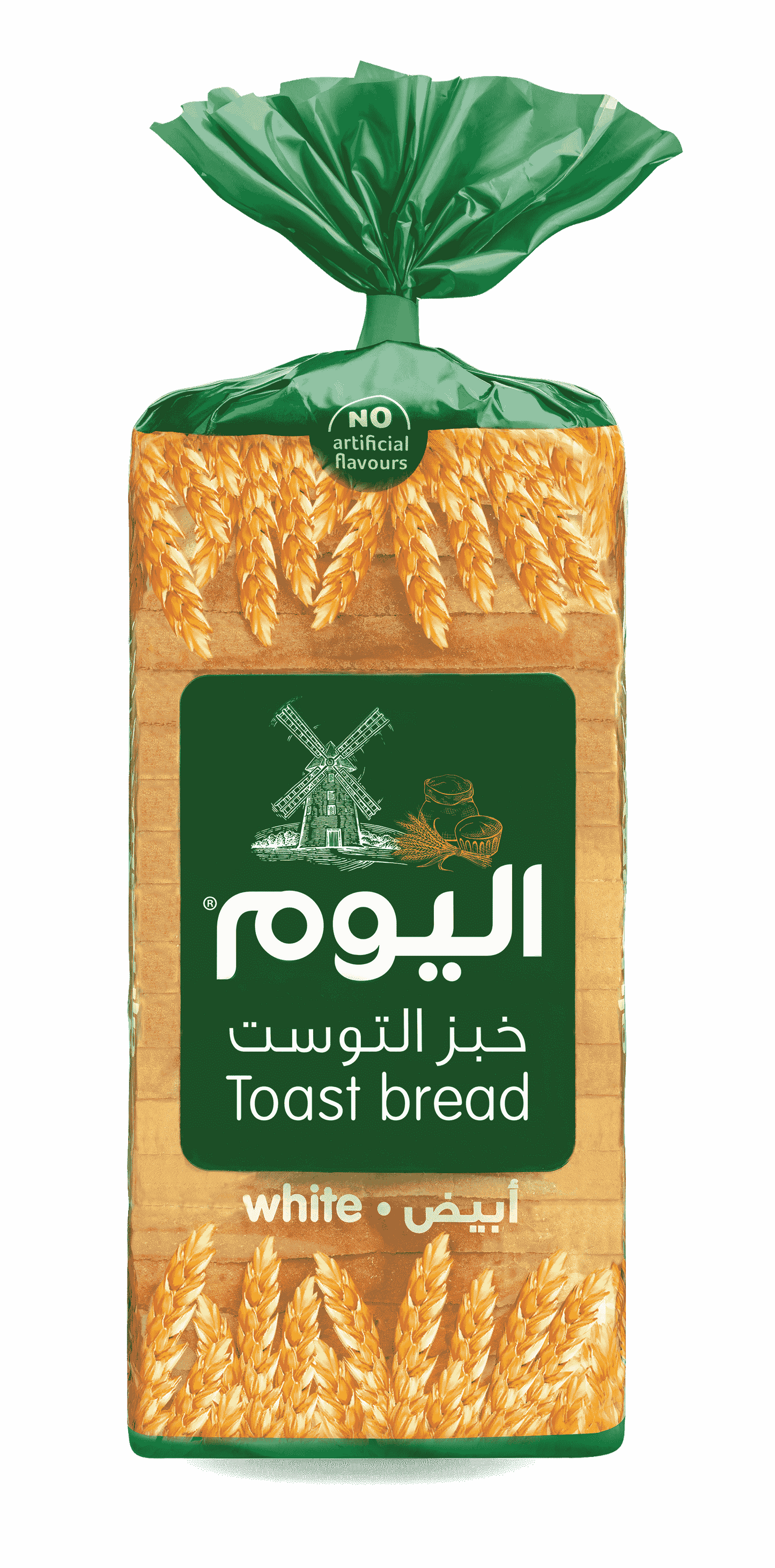 توست ابيض اليوم