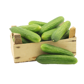 خيار عبوة كيلو عصفور