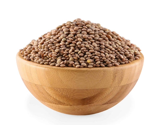 شتلة عدس صغير