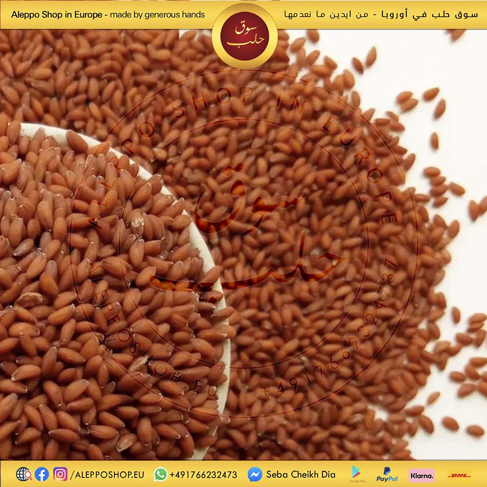 بذور الرشاد