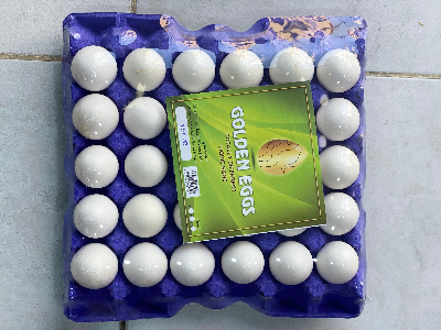 بيض المزرعه