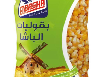 بوشار الباشا