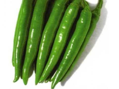 فلفل حار 250
