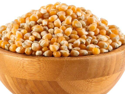 500 بوشار