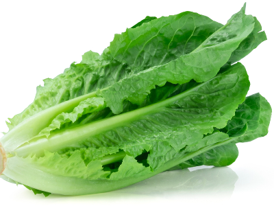 قطعة خس واحده
