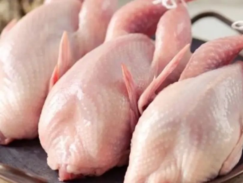 ثلاث حبات طائر السمان الفري طازج