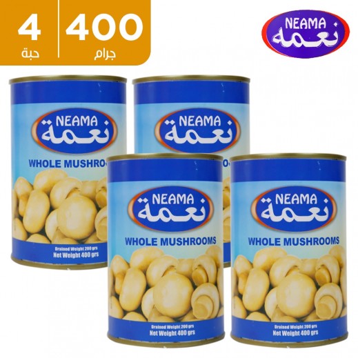 فطر غلوبال 400