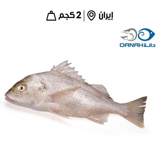 سمك نقرور مجمد