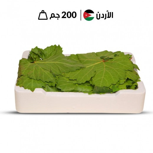 عنب زيني